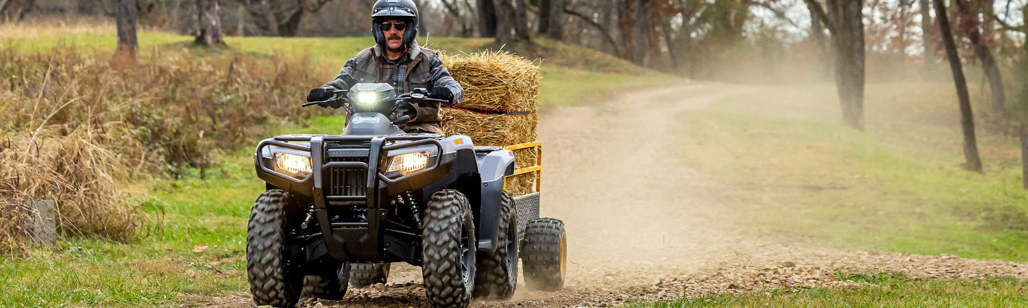 2024 Honda® Fourtrax Rubicon 4x4 Automatic for sale in Spokane Powersports, Spokane, Washington